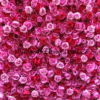 pink rose wall