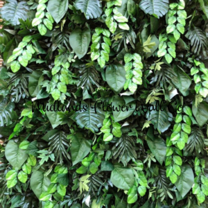 Fiji –  Foliage Wall
