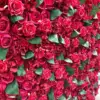red flower wall