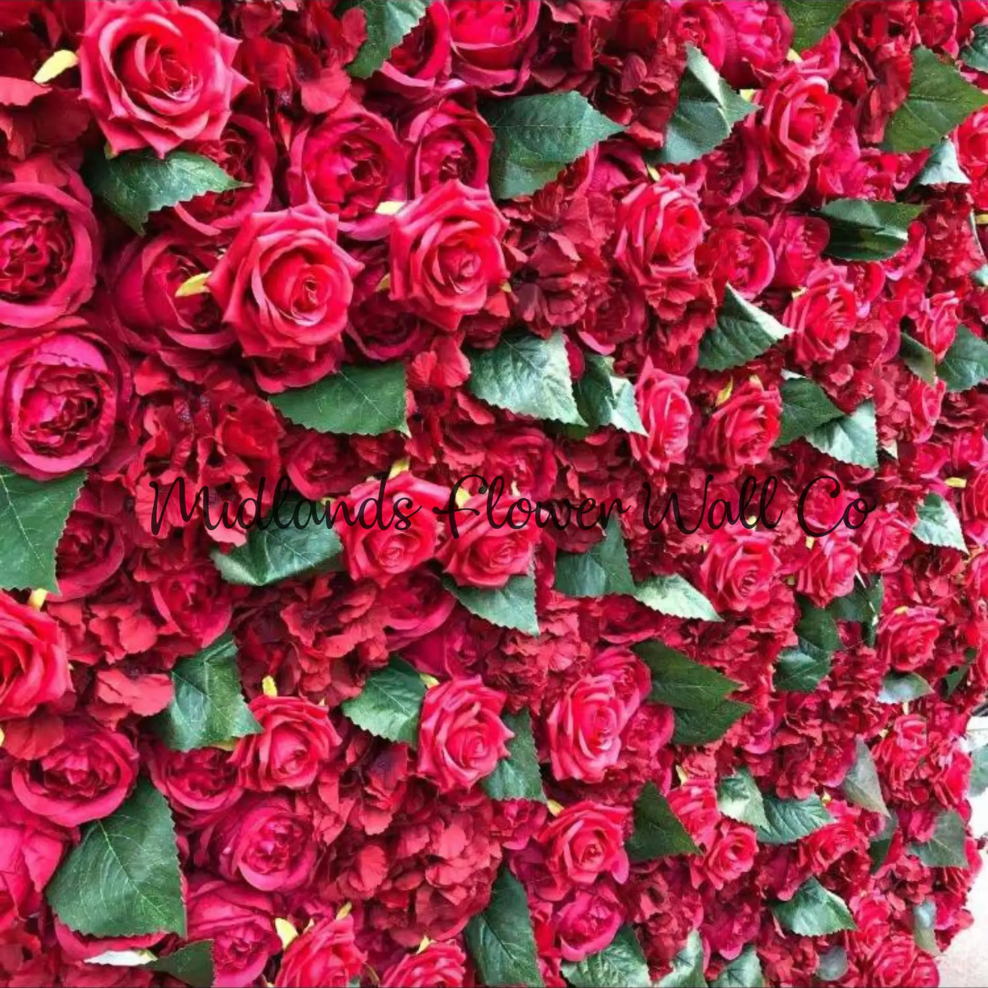 red flower wall