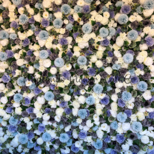 Elsa – Flower Wall