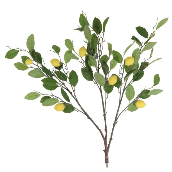 lemon tree branches
