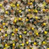 lemon fruit flower wall