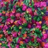 tropical flower walls