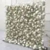 gypsophila flower