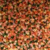 orange flower wall