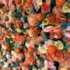 orange flower wall