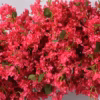 pink bougainvillea flower arch